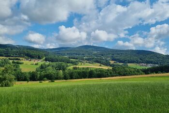 Landschaft rund um Zenting: grüne Wiesen und Wälder