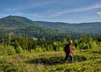 Wanderin auf einem Höhenweg mit weitem Ausblick über die bewaldeten Berge des Bayerischen Waldes