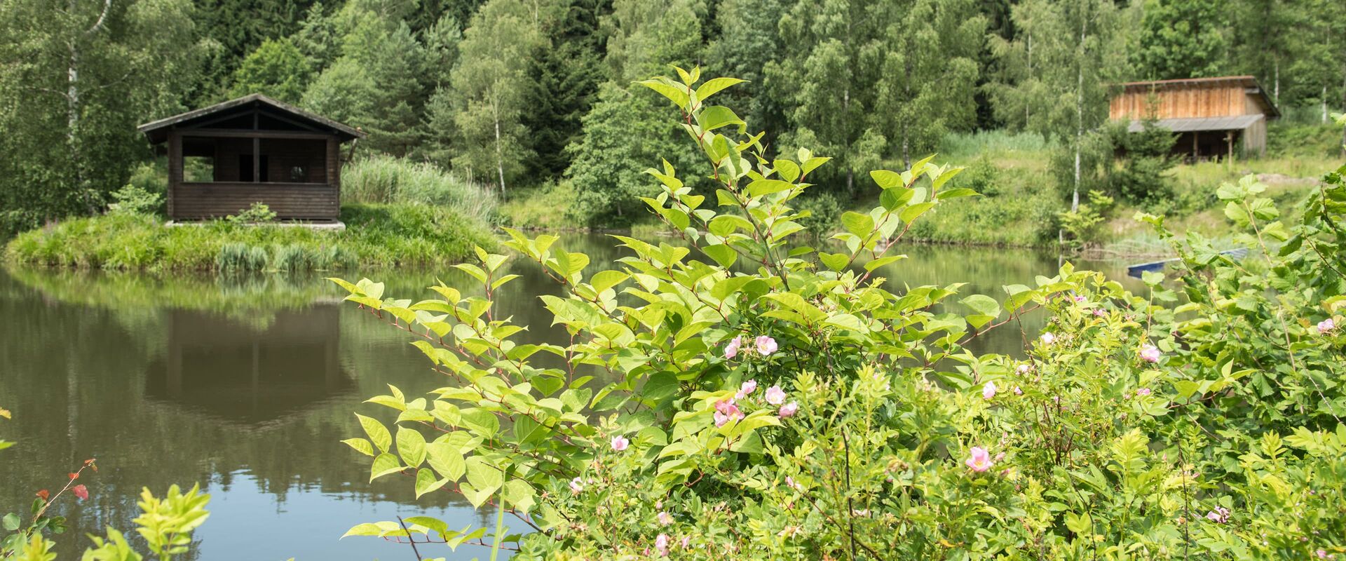 Angeln im eigenen Fischweiher in Zenting