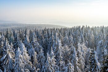 Winterlandschaft in der Umgebung von Zenting