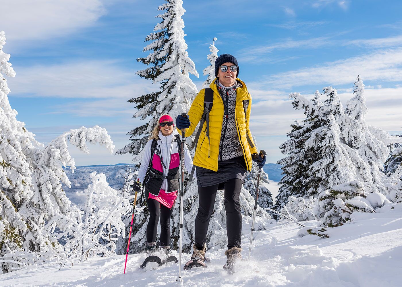 Freizeitaktivitäten im Winter: Spaziergang im Schnee