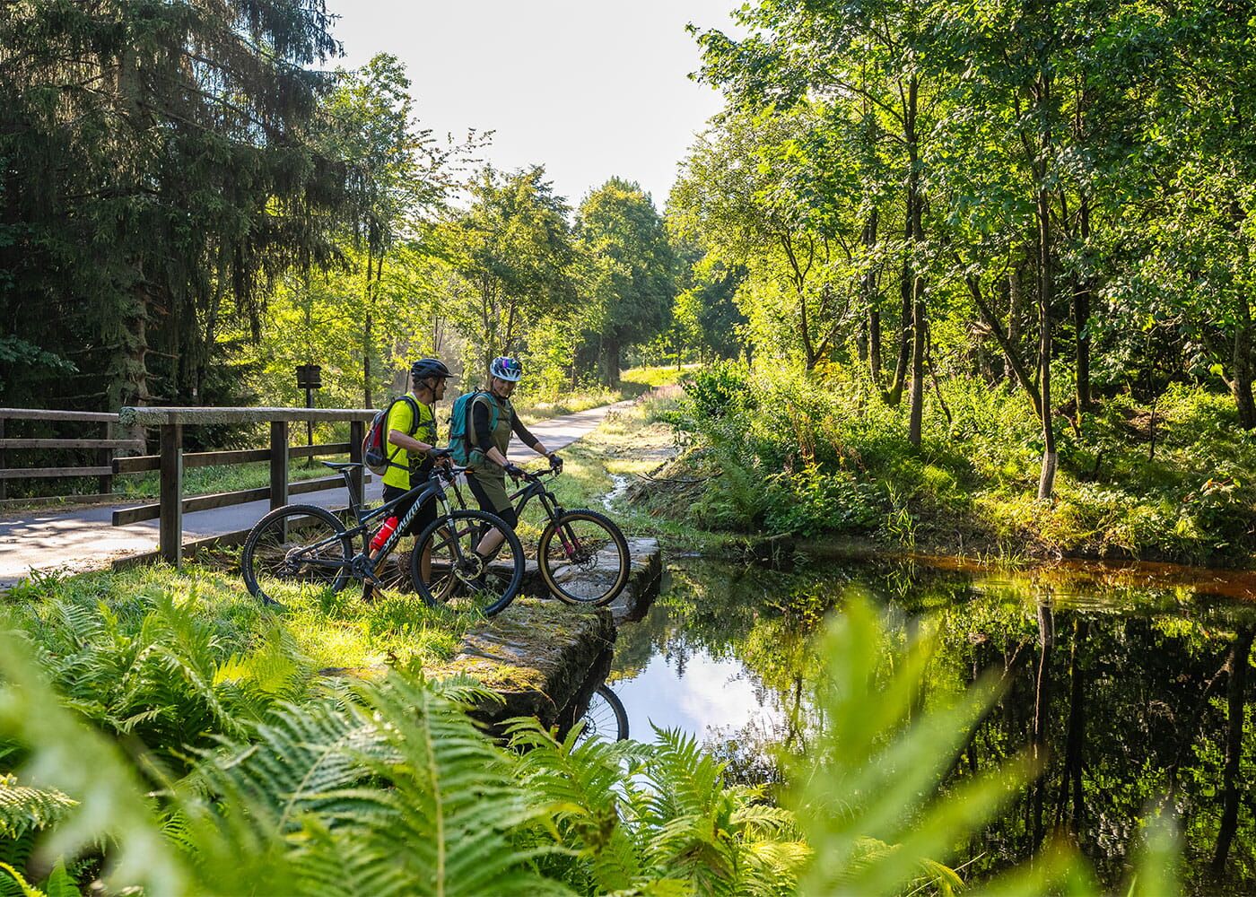 Touren mit dem Moutainbike im Bayerischen Wald erfahren