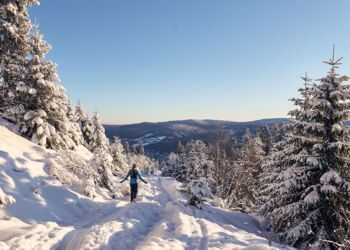 Winterwandern im Nationalpark Bayerischer Wald rund um Zenting sowie im nahen Grattersdorf und Schöfweg