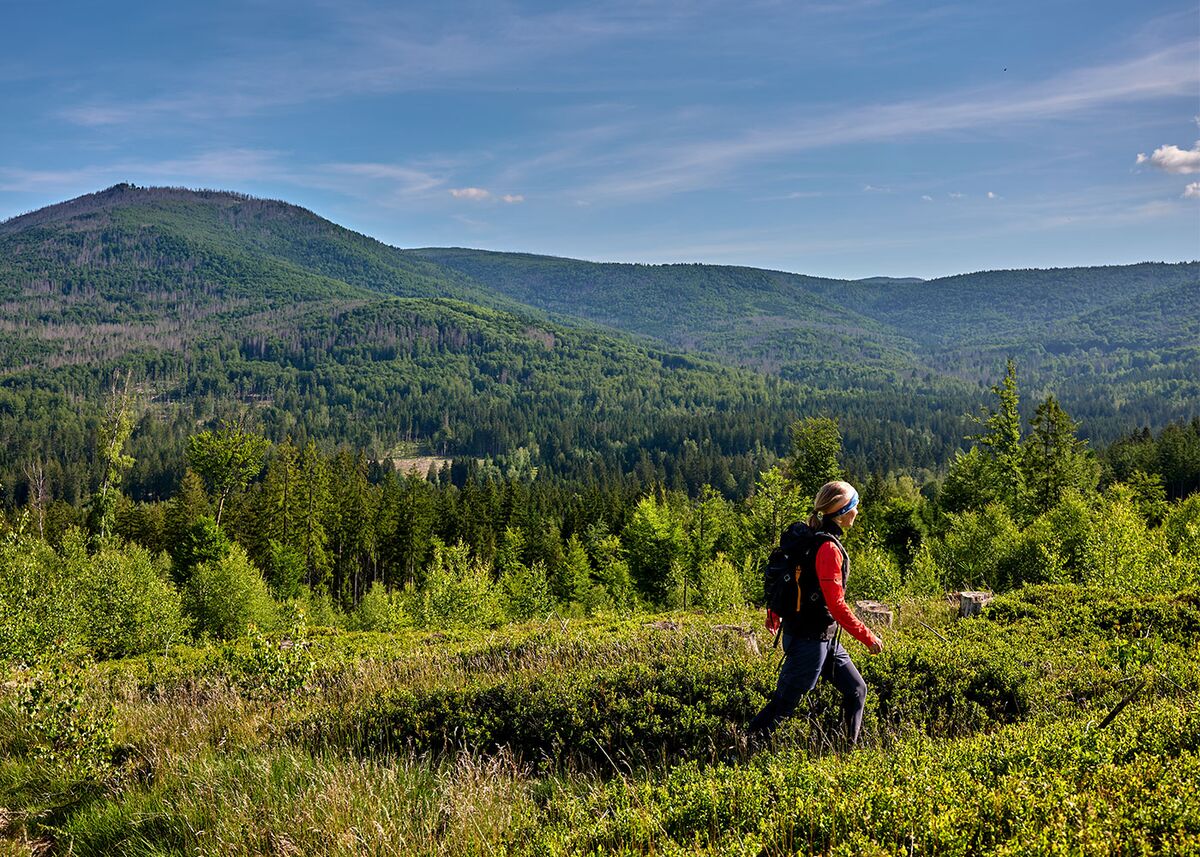 Wanderin auf einem Höhenweg mit weitem Ausblick über die bewaldeten Berge des Bayerischen Waldes